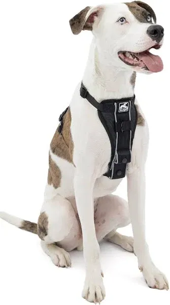 Kurgo Tru-Fit No Pull Dog Harness &amp; Easy Dog Walking Harness Pet Seatbelt, Large