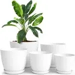 Utopia Home Plant Pots