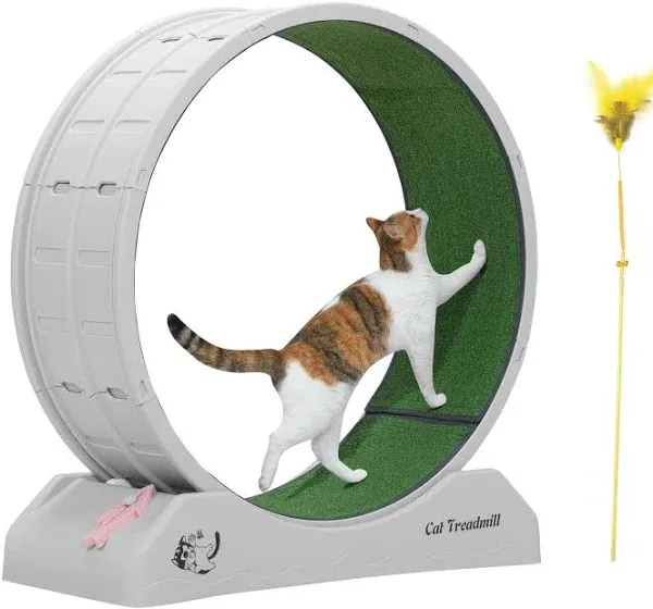 COZIWOW Cat Wheel for Indoor Cats 31.5" Cat Exercise Running Wheel with Locking Mechanism & Removable Carpeted Runway for Cat Weight Loss, Grey