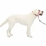 PetSafe Gentle Leader Head Collar for Dogs Raspberry All Sizes