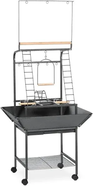 Parrot Playstand