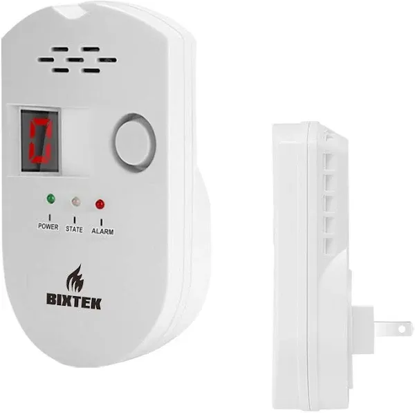 Ain Den Natural Gas Detector