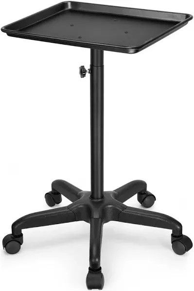 FLOLXNB Salon Tray Cart