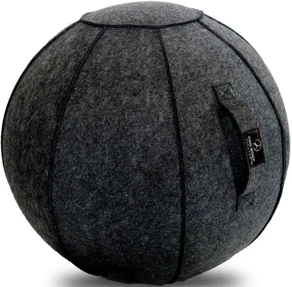 ProBody Pilates Yoga Ball Chair