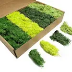 TurelinnG Preserved Moss 4 Color Reindeer Craft Moss, Total 14 oz Each Color 3.5 oz, Fake Moss Suitable for Flowerbeds, Crafts, Home Office Artistic