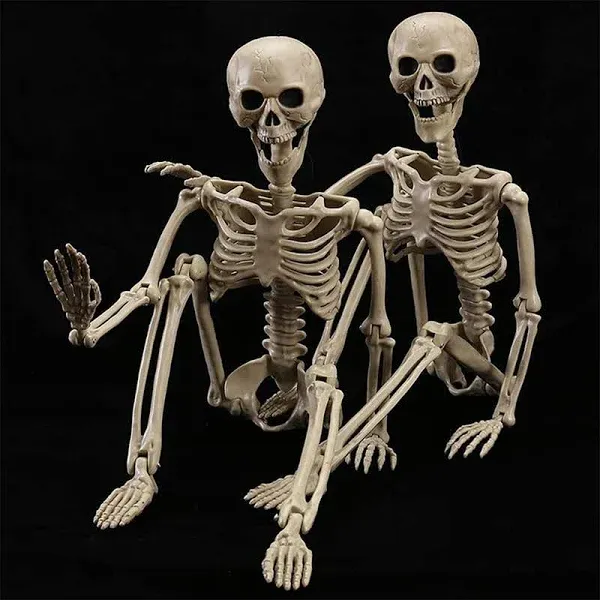 HBSTK 2 Pack 40 Inches Halloween Skeleton Full Body Posable Movable Jonints for Halloween Decoration Décor