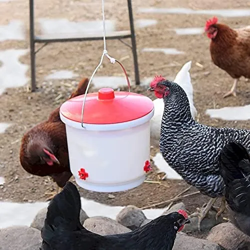 Farm Innovators Heated Poultry Drinker