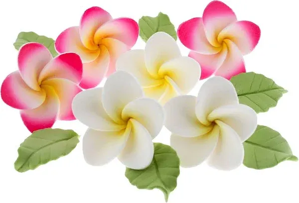 Global Sugar Art Tropical Frangipani Plumeria Edible Sugar Flower Blossoms, Wedding Cake & Cupcake Flowers with Leaves, 24 Count by Count by Chef Alan Tetreault