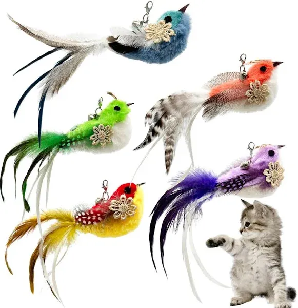 Cat Feather Toys Refill Cat Wand Attachments, 5 PCS Feathers Cat Toy Refills, Cat Wand Replacement Feather Bird for Cat Toys