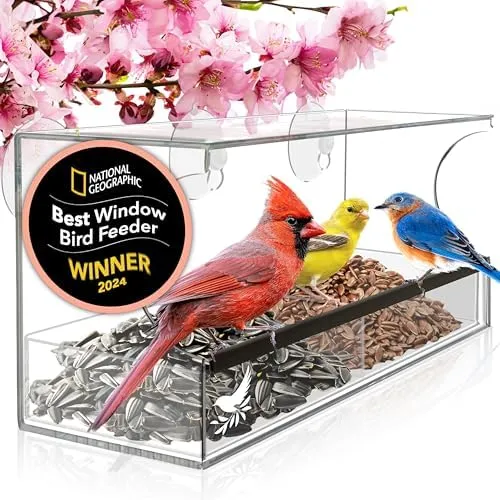 Clear Window Bird Bath Feeder for Outside Viewing with Strong Suction Cups