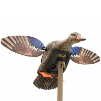 MOJO Elite Series Mini Mallard Drake Duck Decoy