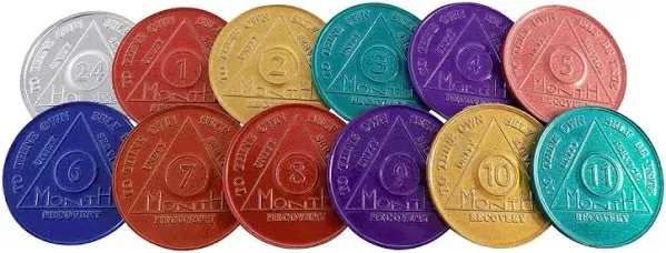 Wendells AA Medallions Chips Set of 12