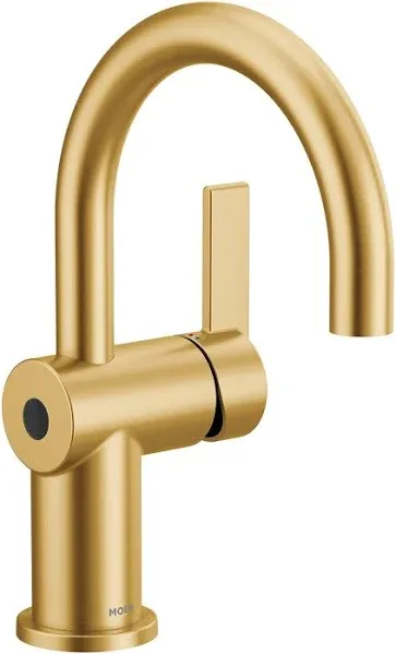 Moen Cia One-Handle Bathroom Faucet 6221EWBG