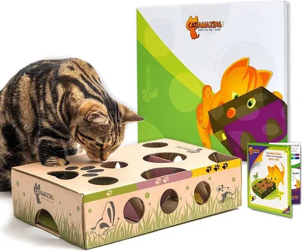 Classic – Cat Puzzle Feeder – Interactive Enrichment Toy – Treat Puzzle Box –...