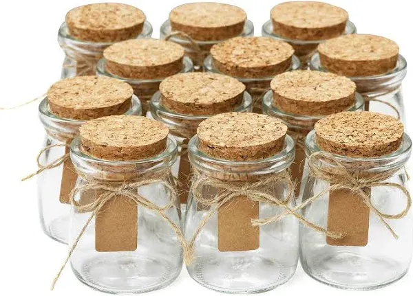 Otis Classic Square Glass Jars with Lids (Set of 12)