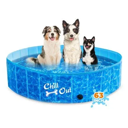 All for Paws Chill Outside Splashing and Fun Pool (Medium)