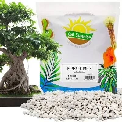 Soil Sunrise Horticultural Bonsai Pumice Soil Additive Ideal Substrate for Bonsai Trees, Cactus and Succulents