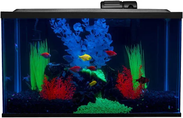 Glofish 10 Gallon Aquarium Kit