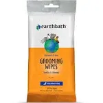 Earthbath Oatmeal & Aloe Grooming Wipes - Vanilla & Almond - 30 Count