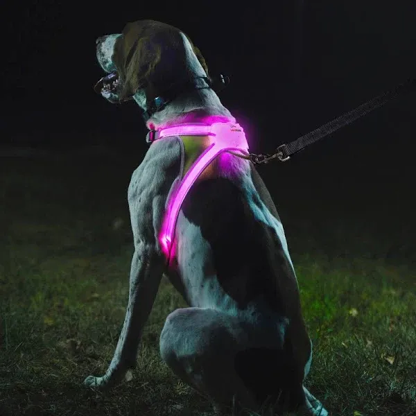 Noxgear Lighthound Multicolor Reflective LED Dog Harness SMALL WORKS TESTED