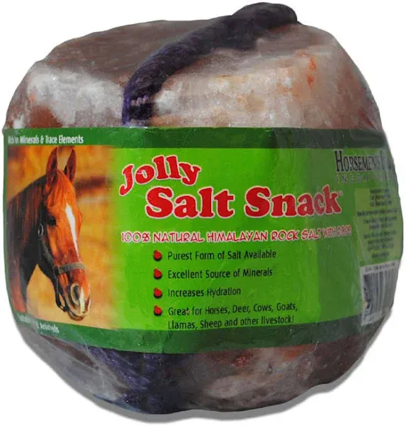 Horsemen's Pride Jolly Himalayan Salt Snack On A Rope