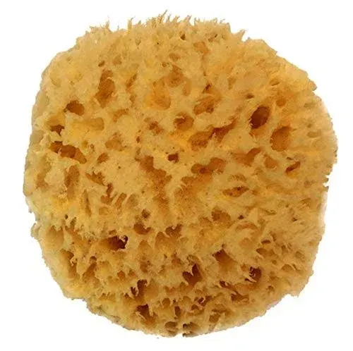 Spa Destinations Natural Sea Wool Sponge Natural Renewable Resource Bath & Shower