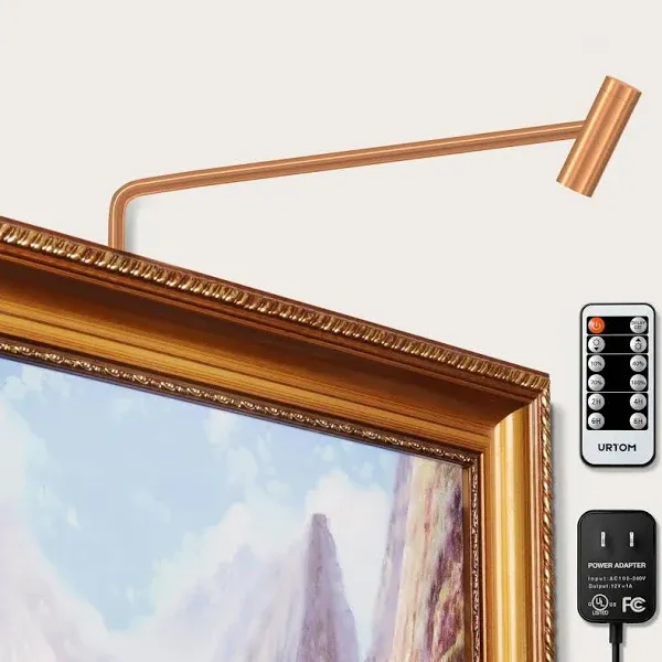 Plug in Picture Light Dimmable Art Lights for Paintings Remote Control 3000K Picture Frame Light with Timer CRI 90 LED Picture Lights for Wall Display Artwork Portrait Gallery, Copper Body