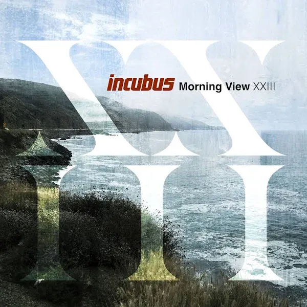 Incubus - Morning View XXIII (Vinyl)