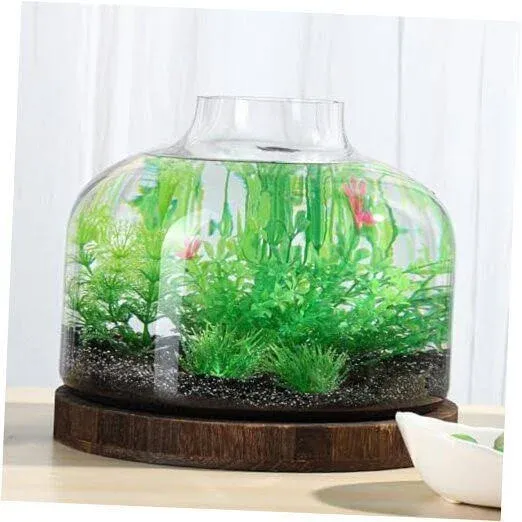 PONDON 1.3 Gallon Fish Bowl Vase, Glass Plant Terrarium Kit, Complete with Wooden Base and Water Changer