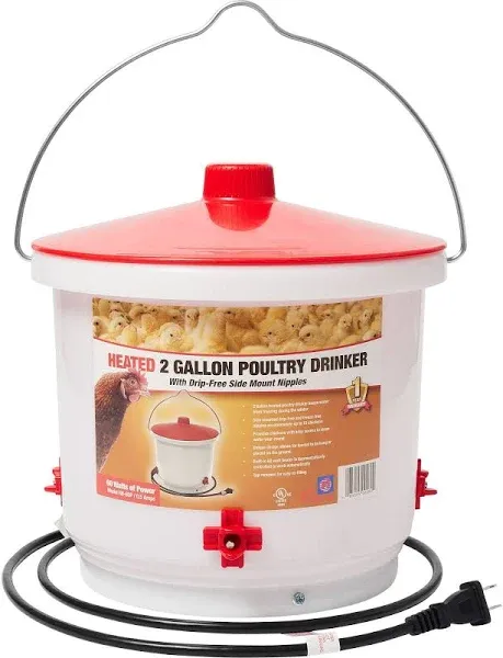 Farm Innovators 2 Gallon Heated Poultry Drinker