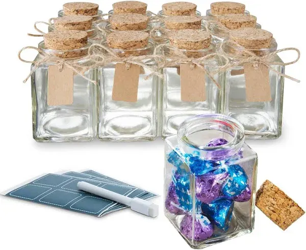 Otis Classic Square Glass Jars with Lids (Set of 12)