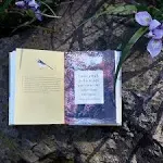 A Little Book of Japanese Contentments: Ikigai, Forest Bathing, Wabi-sabi, and More