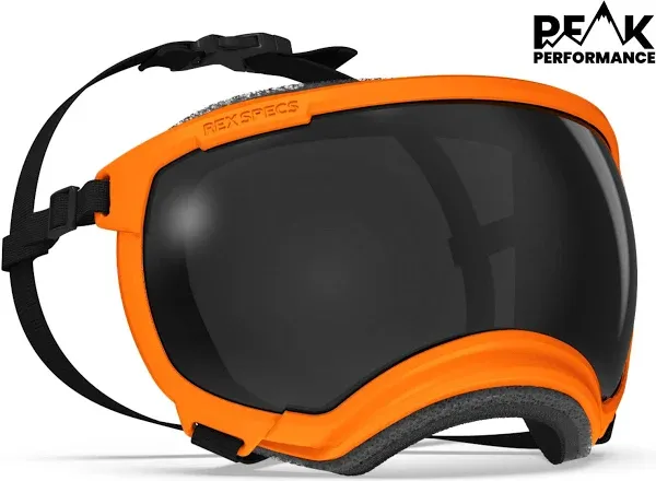 Dog Eyewear | Dog Goggles Eye Protection | Rex Specs