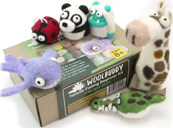 Woolbuddy Needle Felting Kit, Beginner Felting Kit, Felting Tools Included, 40 Colored Felting Wool, Mini Needle Felting Pad, 4 Needle Felting