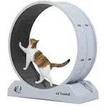 COZIWOW Cat Treadmill Exercise Wheel