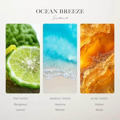 Ritz- Carlton Hotel Ocean Breeze Fragrance Oil