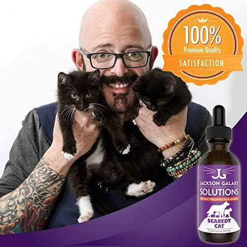 Jackson Galaxy Scaredy Cat Solution