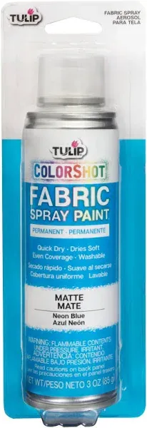 Tulip Colorshot Fabric Spray Paint