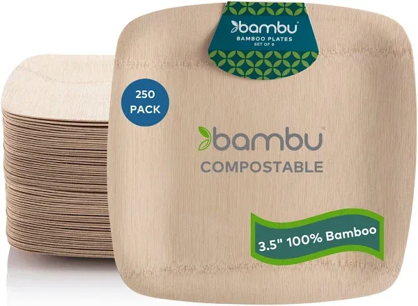 Bambu Veneerware Square Bamboo Tasting Plates