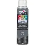 Tulip Colorshot Instant Fabric Color, Gray (3 oz)