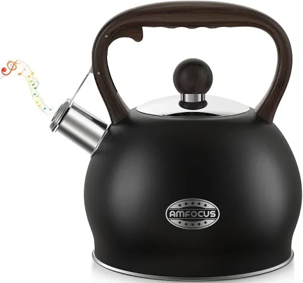 Tea Kettle Whistling Teapot for Stovetop