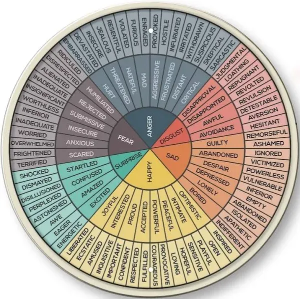 Wheel Of Emotions Chart Poster Round Metal Tin Sign Mental Health Emotional Learning Artwork Therapy Office Decor Wall Art Kids Behavior Chart