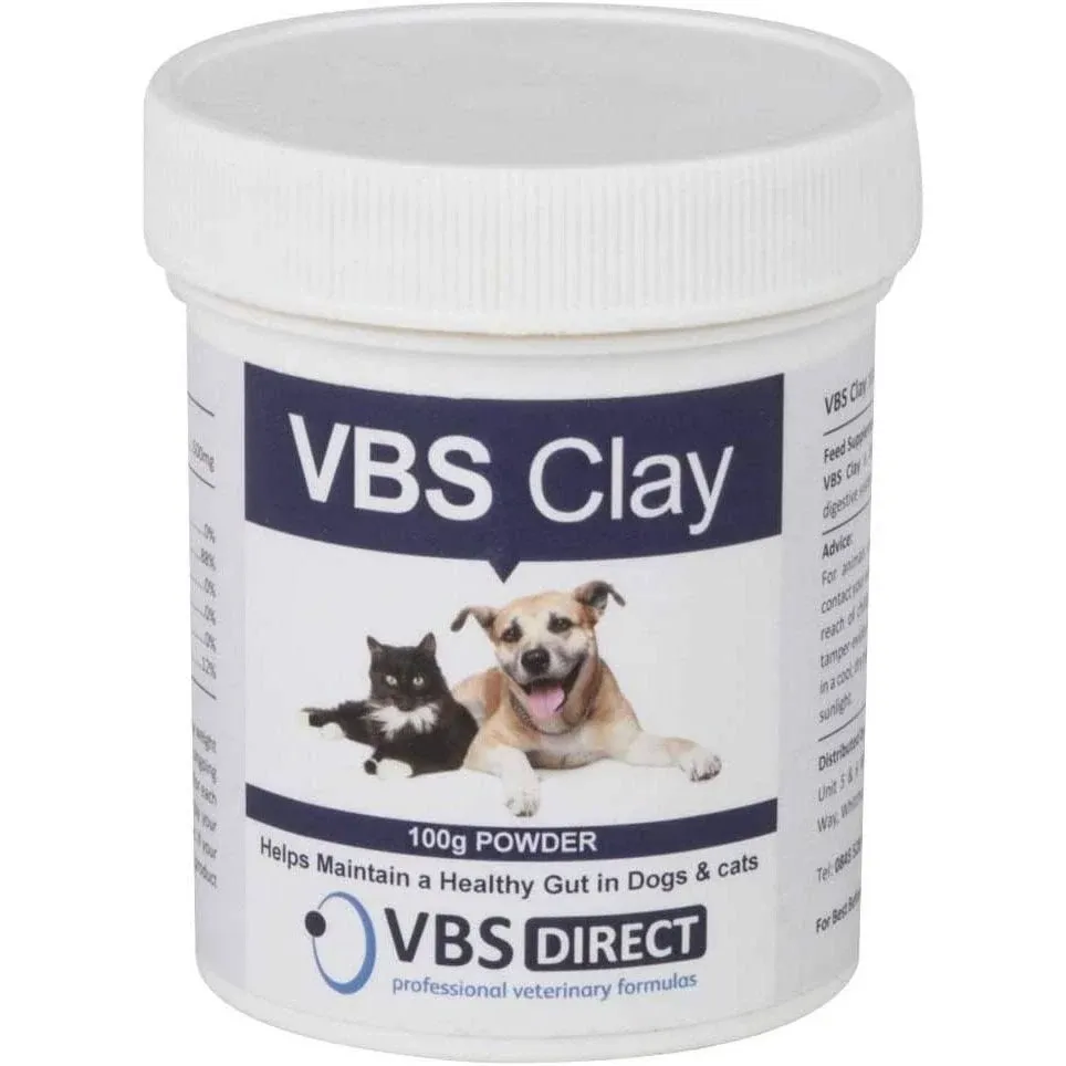 VBS Clay Powder 100g