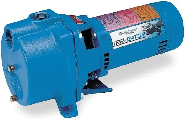 Goulds GT10 Irri-Gator Self Priming Centrifugal Pump - 1 Hp