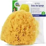 Baby Buddy Natural Bath Sponge 4Inch Grass Sea Sponge