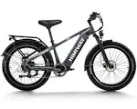 Himiway D5 (Zebra) | Premium All-Terrain Electric Fat Bike