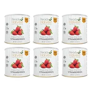 Ready Harvest Freeze Dried Strawberries | Healthy Emergency Snacks | Hurricane ...