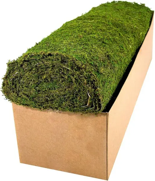 SuperMoss Instant Green Moss Mat