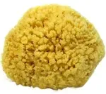 Natural Sea Sponge Small 4-5&#034; by Spa Destinations®&#034;<wbr/>Creating The Perfect Bath... 