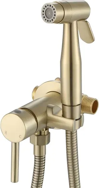 WiPPhs Handheld Bidet Sprayer Wi9138Bg